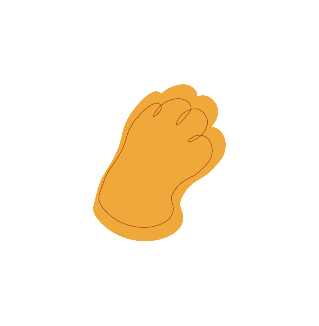 Image de pate de chat